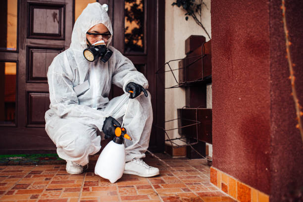 Reliable Ant Control contractor in Woodhaven, MI by Nex Pest Control