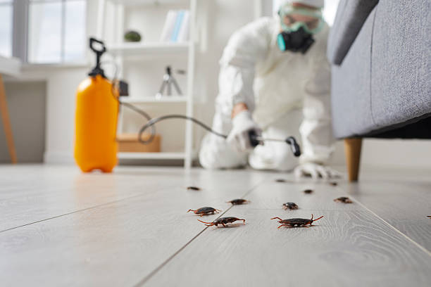 Trusted Termite Control service in Woodhaven, MI - Nex Pest Control