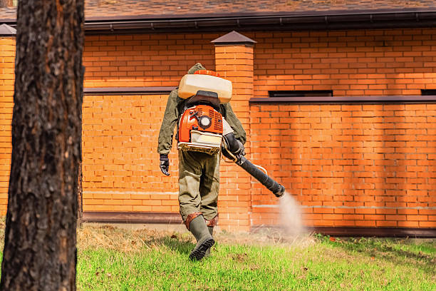Trusted Emergency Pest Control service in Woodhaven, MI - Nex Pest Control